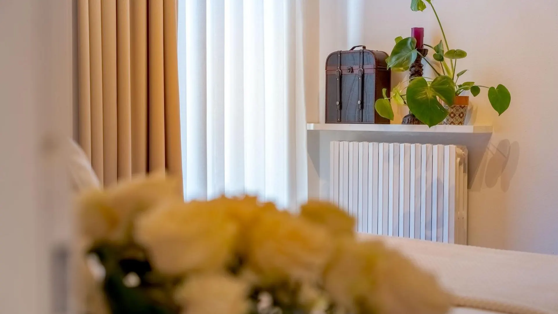 Palazzo Ristori Apartment Verona